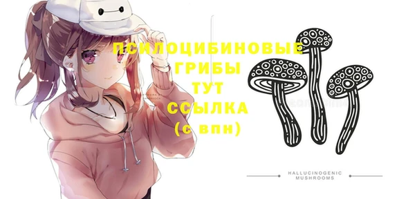 шишки Абаза
