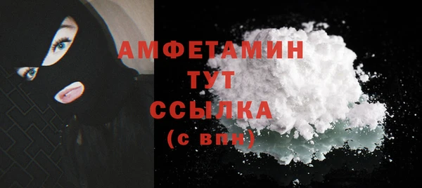 шишки Абаза