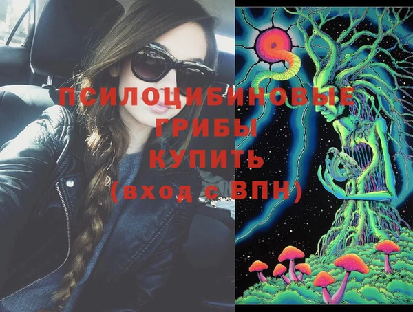 шишки Абаза
