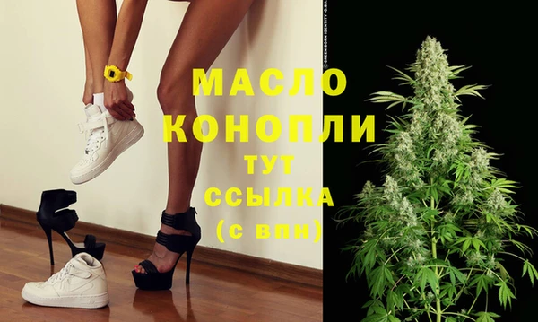 шишки Абаза
