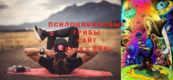 шишки Абаза