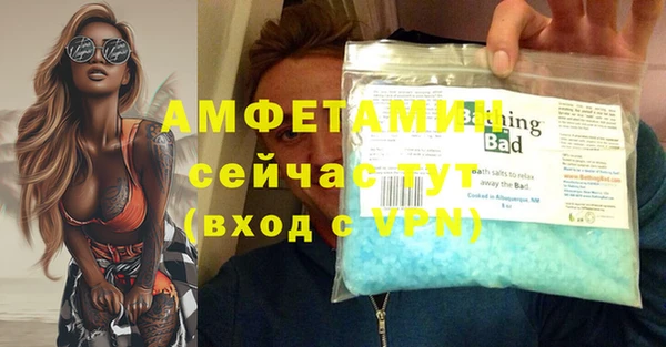 шишки Абаза
