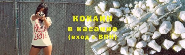 шишки Абаза